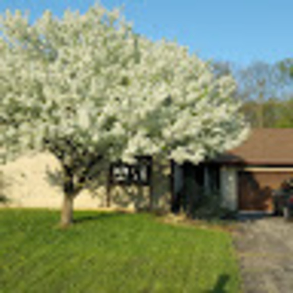 Meet your Posher, Sheldans - Picture 1 of 1